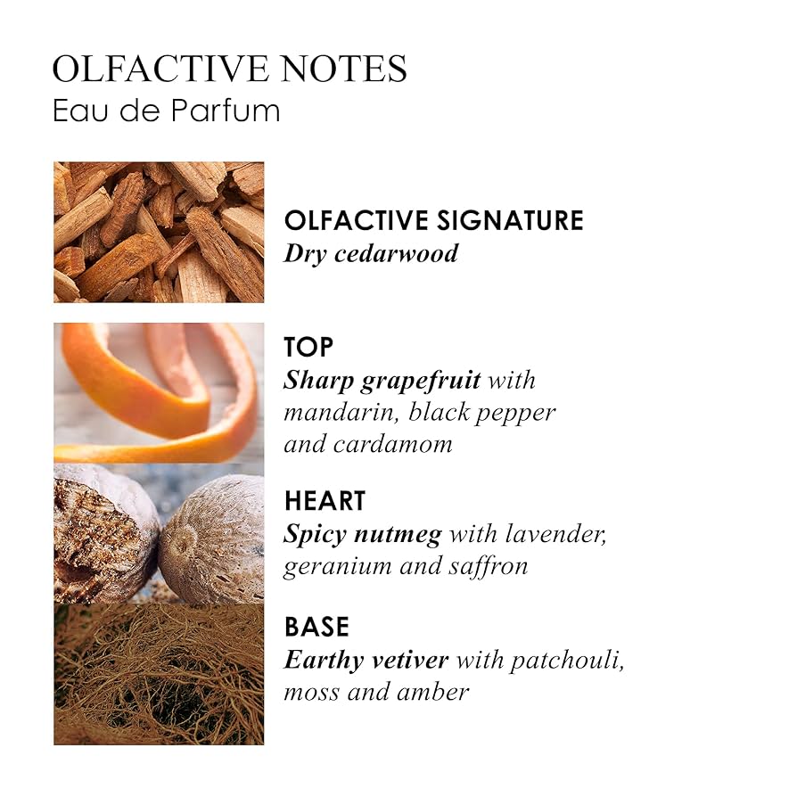 Amazon.co.jp: MOLTON BROWN(モルトンブラウン) ベチバー